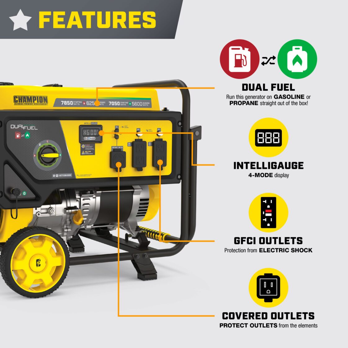 6250W Dual Fuel Generator with CO Shield